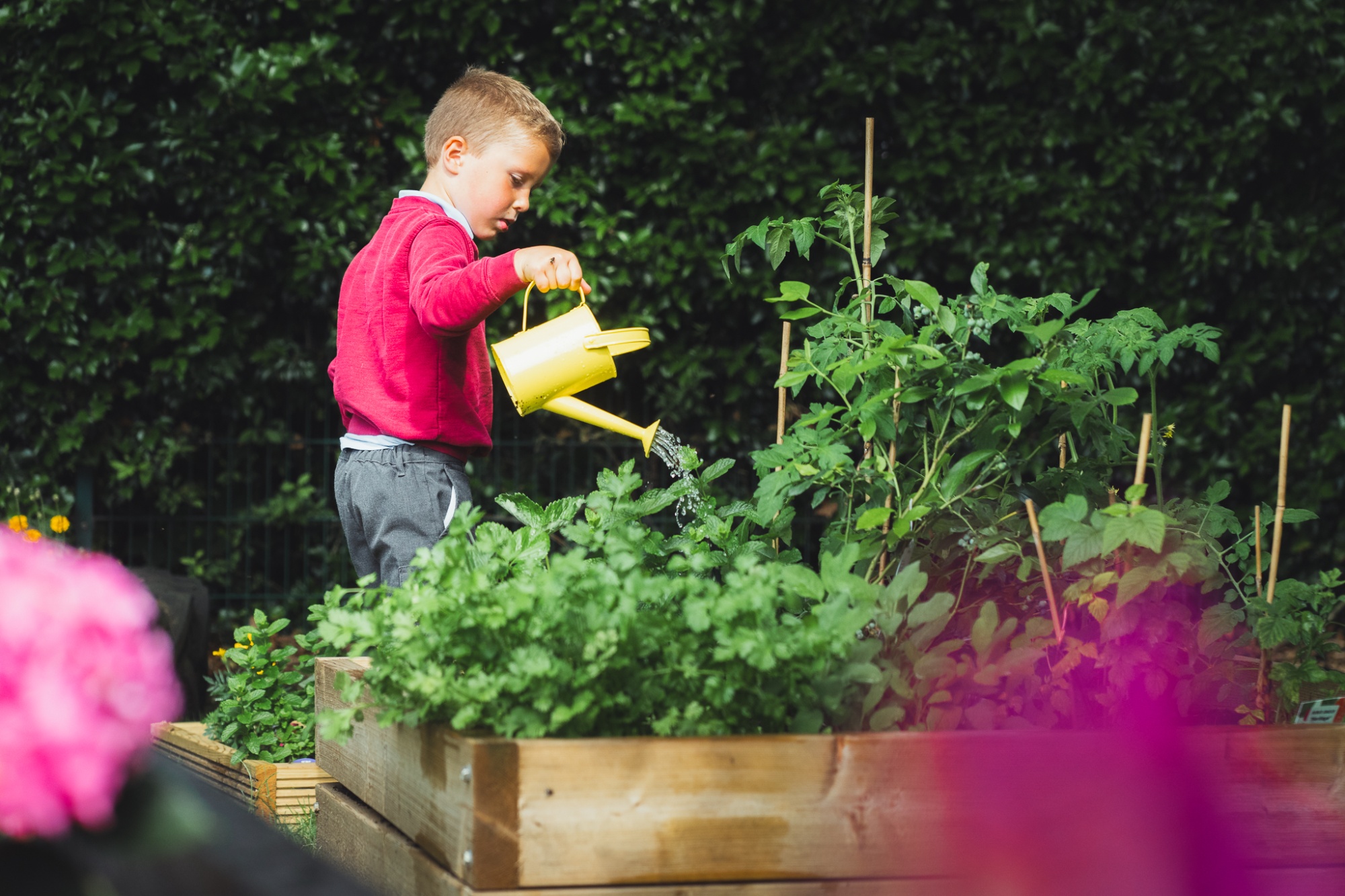 student watering plants
